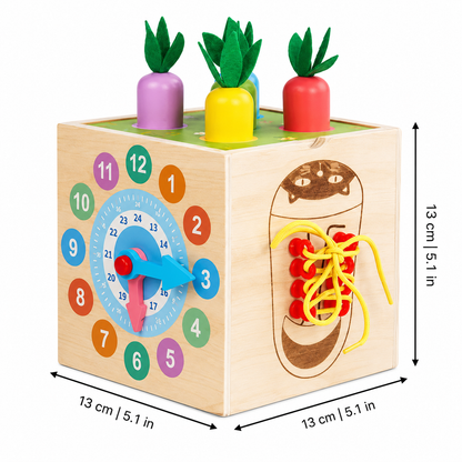 CritterCube