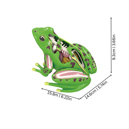 Frogli