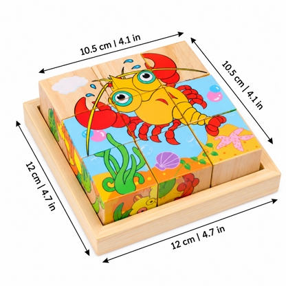StoryBlocks